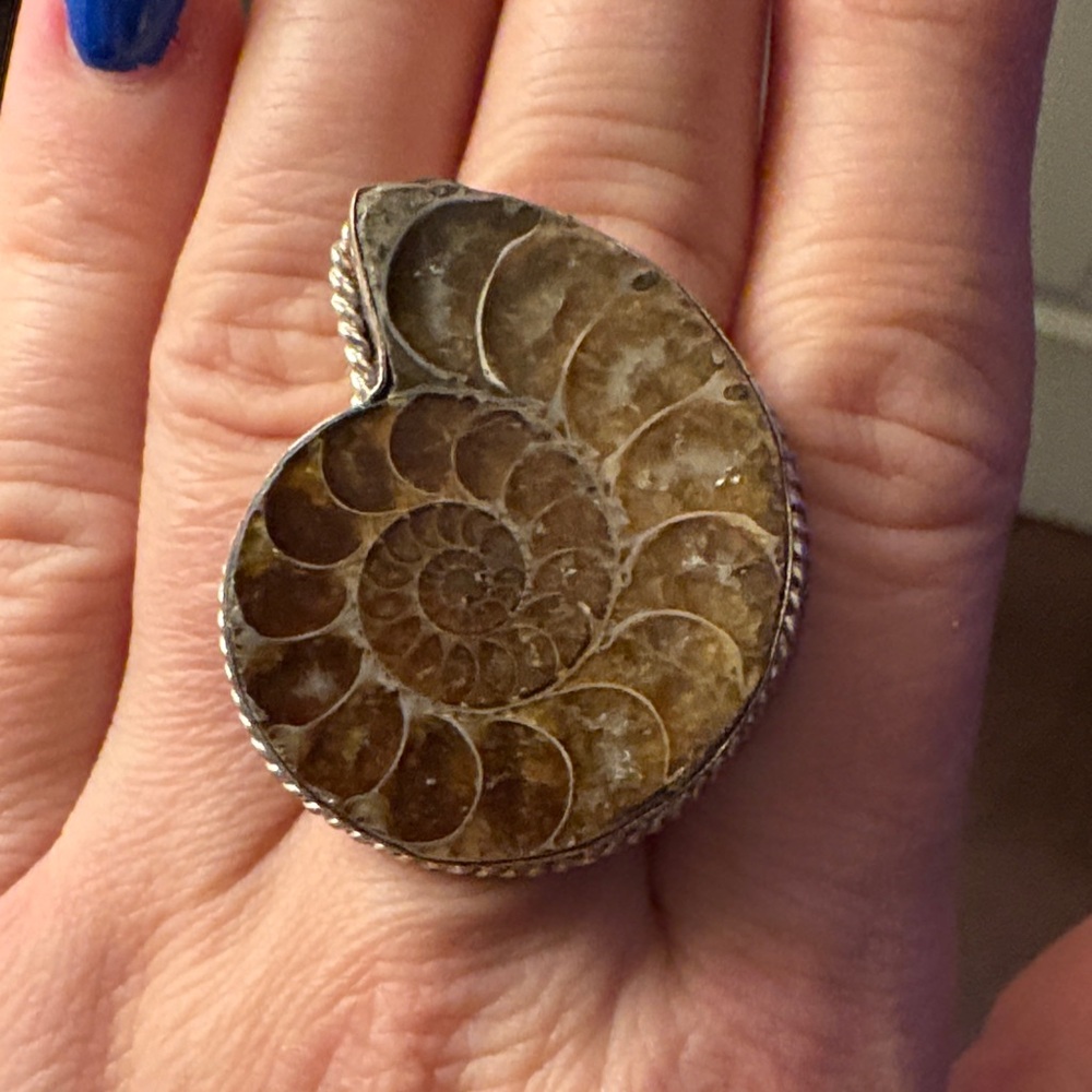 Vintage Ammonite Fossil Shell Statement Ring